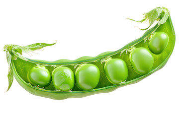 Close-up shot of a single, plump, fresh green bean. Isolated on a white background