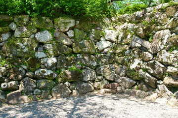 Poster - Kochi Castle's moss-covered stone walls