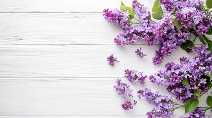 Sticker - Lilac flowers on white wooden background in spring Top view with empty space