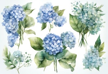 bunch flowers floral olated set cut collection watercolor painting illustration blue flower turquoise drawn pink leaves painted hydrangea treebranch arrangement out bouquets clipart background