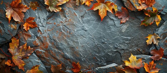 Autumn leaves framing a stone background with a copy space image in the center.