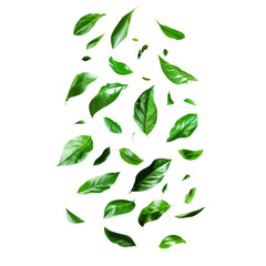 Whirling Green Floating Leaves: Organic Natural Ingredients Concept Isolated on transparent Background, PNG File