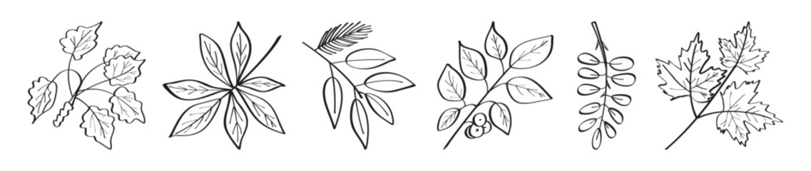 Wall Mural - Set of autumn summer leaves with seeds drawn in one line outline. Flat doodle style. Vector illustration.