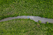 © Chalearmrat - Aerial view of green mangroves or tropical forest in Thailand.