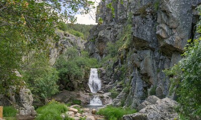 Wall Mural - Serene waterfall cascading over rocks into a clear pool surrounded by lush greenery