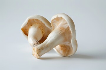 ear mushroom on white background