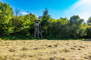 Canvas Print - Hoch und Jägersitz am Waldrand