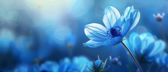 spring blue flower background close illustration bloom floral, petal natural, colorful beauty spring blue flower background