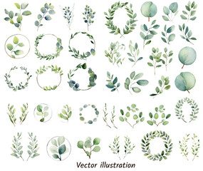 exotic plants leaf set on an isolated transparent background, watercolor vector illustration. weddin