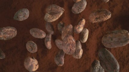 Poster - Super Slow Motion of Falling Group of Cocoa Beans. Falling Down into Cocoa Powder. Filmed on High Speed Cinema Camera, 1000fps.