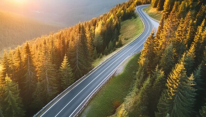 Wall Mural - Aerial view of mountain road in forest at sunset in autumn. Top view from drone of road in woods. Beautiful landscape with roadway in hills, pine trees, green meadows, golden sunlight in fall. Travel.