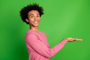 Sticker - Photo of handsome good mood guy wear pink sweater holding arms emtpy space isolated green color background