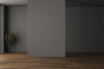 Wall Mural - Modern contemporary loft empty room with gray tones wall. The Room has , parquet floor, plant, window.