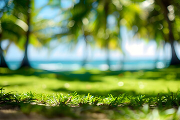 Poster - blur nature bokeh green park by beach and tropical coconut trees