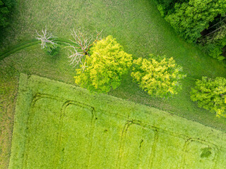 Wall Mural - Aerial view of trees and fields in rural farmland. Background image of rural scene with copy space.