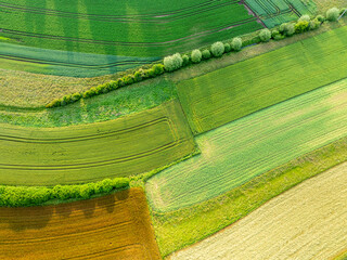 Canvas Print - Aerial view of farmland patchwork. Fields with different colors in countryside. Background showing rural area.