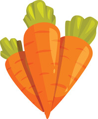 Canvas Print - Three fresh organic carrots forming a beautiful fan shape, perfect for healthy eating and cooking