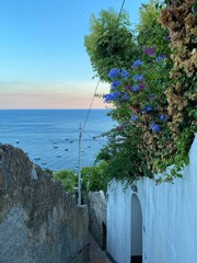 Scenic view of an alley