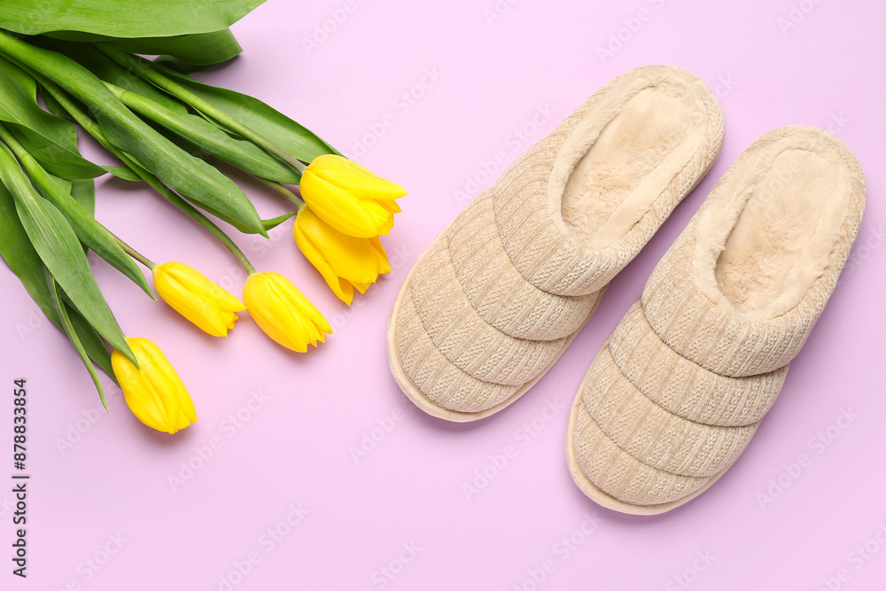 Pair of beige soft slippers and tulips  on lilac background. Top view