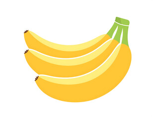 A fresh bunch of bananas fruit cartoon illustration