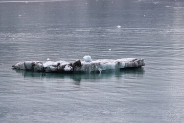 Sticker - Glacier Bay, Alaska