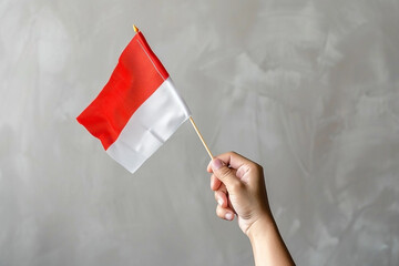 Hand holding red and white flag of Indonesia