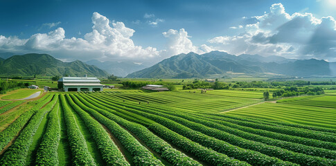 aerial view of green agricultural fields with farmers, modern warehouse, tractors and machinery working under blue sky rural landscape with crops vegetables mountains on a sunny day