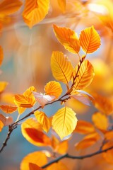 Wall Mural - Golden Autumn Leaves on a Branch