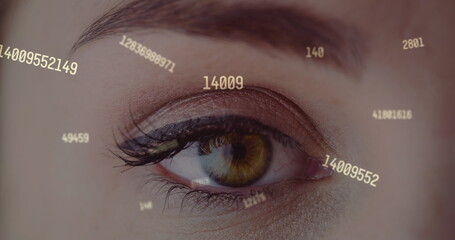 Sticker - Image of data processing over eye of caucasian woman