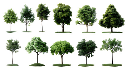 set of trees isolated on white background,generative ai