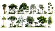 © Stock28 - green trees forest group isolated on transparent background.generative ai