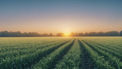 Generate a sunrise over a field with a gradient from gold to light blue.