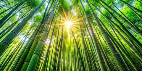 Canvas Print - Bright sun shining through bamboo trees, sunlight, nature, bamboo forest, peaceful, tranquil, sunny day, greenery, calm