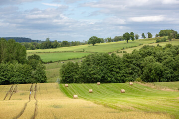 Canvas Print - hay bales in grass fields of french champagne ardennes region