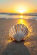 © Media Srock - A close up of a seashell on the sand