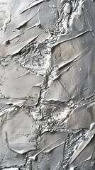 Poster - silver clay background