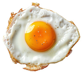 Canvas Print - PNG Fried egg food white background breakfast.