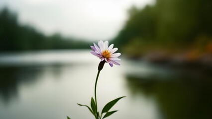 Canvas Print -  Peaceful solitude in natures embrace