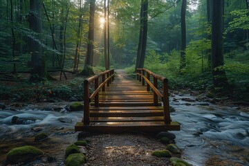 Wall Mural - A scenic hiking trail through a dense forest, with sunlight filtering through the trees and a wooden bridge over a bubbling stream. 