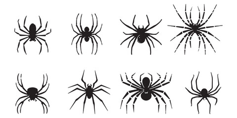 Wall Mural - Set of black silhouettes of spiders on white background.