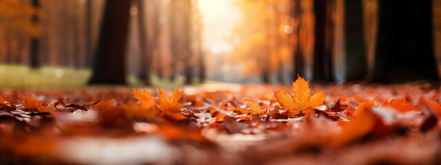 Wall Mural - Colorful foliage in the park. Falling leaves natural background .Autumn season concept. Abstract autumn background