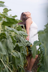 Wall Mural - Cheerful woman amidst sunflowers in field at sunset