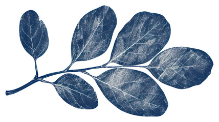 Sticker - PNG  Antique of leaf drawing sketch plant.