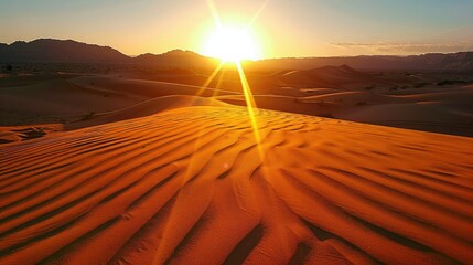 Wall Mural - Bright sunlight casting long shadows on desert