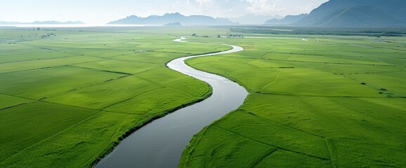 Wall Mural - Scenic drone shot of Surin’s rural landscape