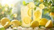 © Yelena - Lemonade is refreshing and flavorful made with fresh