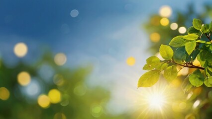 Sticker - Green leaves and sun with bokeh background. Nature background