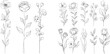© Zaleman - Set of modern flowers and leaves drawn with single continuous lines. Perfect for t-shirt prints, logos, and cosmetics.