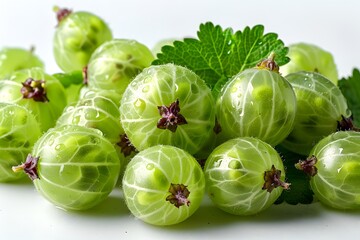 Poster - Fresh Green Gooseberries with Dew Drops and Leaves