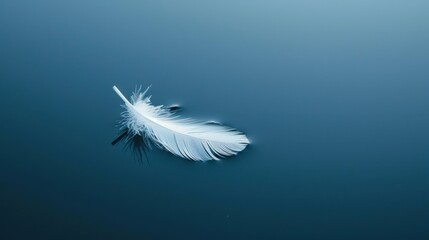 Poster - A minimalist blue background with a single, delicate white feather floating in the center